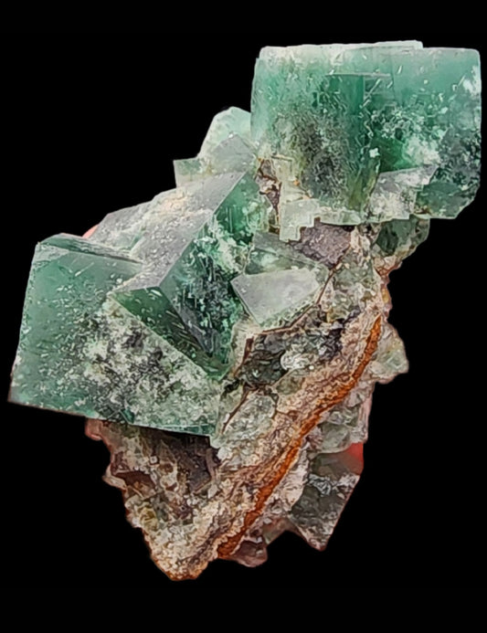 The Crystalary's Fluorite from the Greedy Hog pocket at the Diana Maria Mine in Co Durham, UK (SKU 3072) features stunning green cubic crystals with rough edges and a partial covering of brownish matrix. Against a black background, these translucent gems reveal visible layers and possess a truly unique texture.