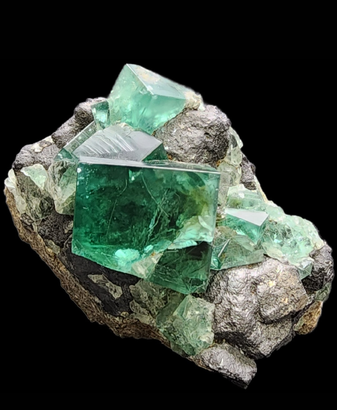 A vibrant cluster from The Crystalary, featuring cubic fluorite crystals interspersed with glistening galena, is gracefully perched on a dark mineral matrix sourced from the Greedy Hog pocket of the Diana Maria Mine in Co Durham, UK. These translucent fluorite crystals exhibit a spectrum of green hues that shine brilliantly against the contrasting black background. (SKU: 3070)