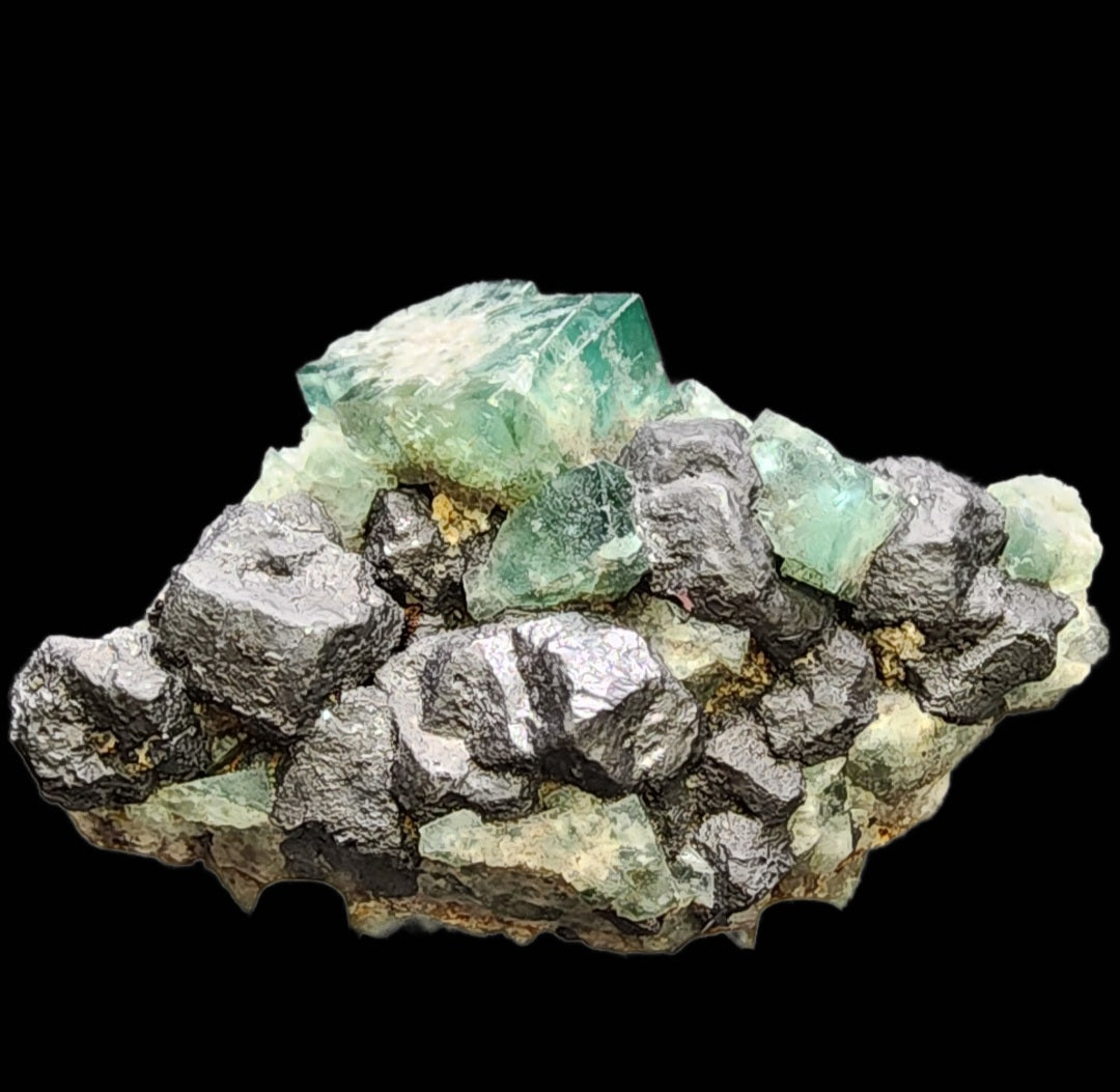 A mineral specimen from *The Crystalary* highlights green Fluorite crystals elegantly perched on rough, textured rocks against a black background. The translucent, angular shapes of the Fluorite provide a striking contrast to the granular surface of the darker Galena rocks, evoking treasures from the Greedy Hog Pocket in Diana Maria Mine, Co Durham, UK. (SKU 3069)