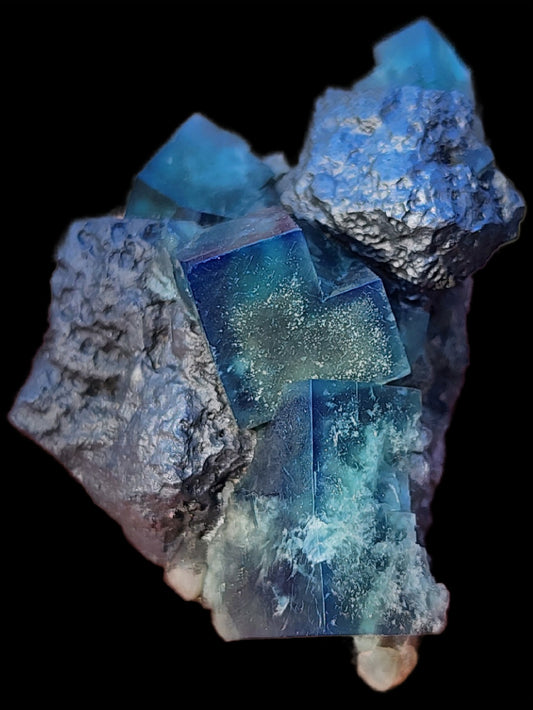 A cluster of vibrant, semi-transparent cubic fluorite crystals from the Greedy Hog pocket at the Diana Maria Mine in Co Durham, UK (sku 3068) features a rough, silver-toned metallic Galena mineral embedded around them. The piece, presented by The Crystalary, is set against a solid black background and showcases natural geometric patterns.