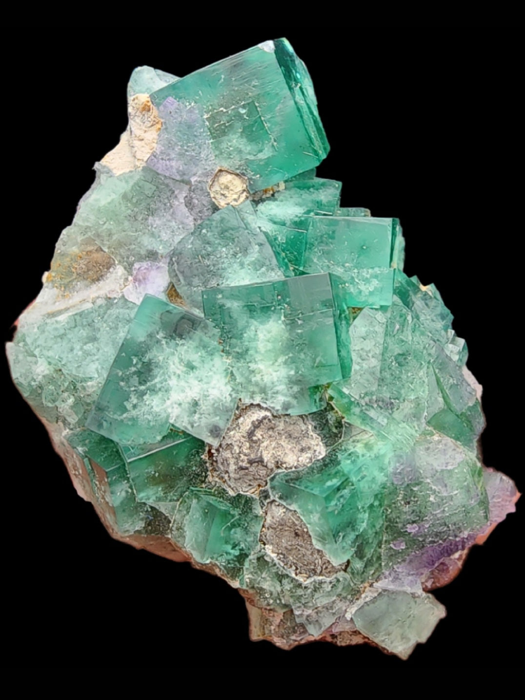 A vibrant cluster of green fluorite crystals with a cubic structure from the Greedy Hog pocket in Diana Maria Mine is showcased against a black background. The crystals, part of The Crystalary collection (sku 3067), feature some purple and translucent areas, displaying natural formations and mineral texture.