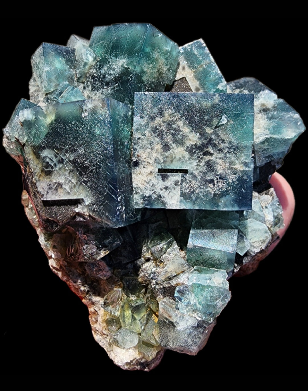 This product features a cluster of vibrant green and blue fluorite crystals, known for their distinctive cubic shapes, set against a contrasting black backdrop. Sourced from the Greedy Hog Pocket at the Diana Maria Mine in Co Durham, UK, these crystals possess a translucent appearance with natural inclusions that add texture. Available from The Crystalary under SKU 3066.