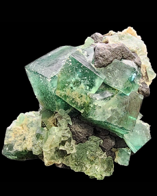 A collection of translucent green fluorite crystals featuring cubic formations, highlighted by minor dark mineral deposits and shimmering galena, is showcased on a black background. The glossy surface unveils its internal textures, evoking the charm of discoveries from the Greedy Hog Pocket. Available as Fluorite and Galena-Greedy Hog Pocket from Diana Maria Mine, Co Durham, UK (SKU 3064) by The Crystalary.