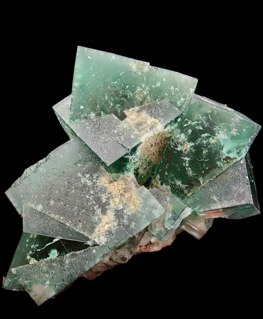 The Crystalary presents a cluster of interlocking green fluorite crystals from the Greedy Hog pocket at the Diana Maria Mine in Co Durham, UK (SKU 3061). The translucent crystals exhibit a glassy appearance with sharp edges and slight variations in shade, beautifully reflecting light against a black background. Some areas feature dustings of beige mineral deposits.