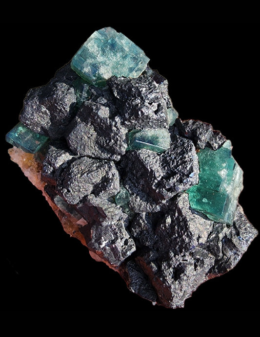 A captivating cluster of rough-textured rocks from the Diana Maria Mine, known as the Fluorite and Galena - Northern Lights Pocket (sku 3060), features translucent green crystals reminiscent of pockets of Northern Lights set against a dark background. The scattered fluorite crystals throughout this striking formation create a remarkable contrast, brought to you by The Crystalary.