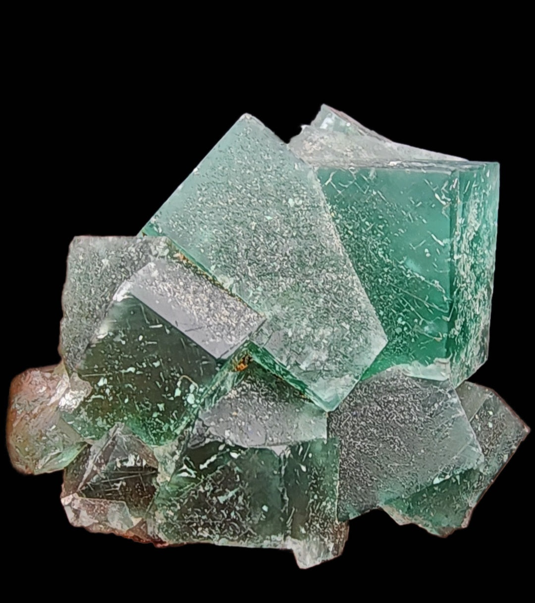 A cluster of translucent, green cubic fluorite crystals from the Diana Maria Mine's Greedy Hog pocket is showcased against a black background. These crystals, offered by The Crystalary (sku 3059), have a subtly frosted appearance with light reflecting off their surfaces to create a shimmering effect.