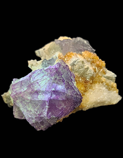 A vibrant collection of the Fluorite- Ice Cream Igloo Pocket from The Crystalary showcases striking purple cubic formations alongside yellow and white crystalline structures set against a black backdrop. This stunning piece, sourced from Bingham, Hansonburg District in Socorro County, New Mexico (sku 3259), exhibits a shiny, reflective texture across most crystals, perfectly capturing the essence of New Mexico's mineralogy.