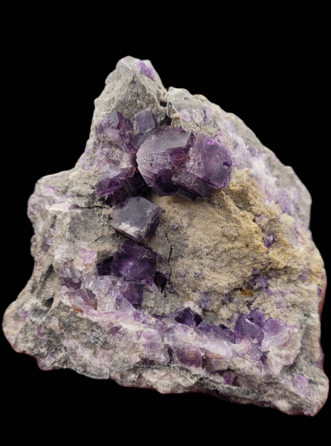 A cluster of rough purple fluorite crystals in the "Fluorite with Quartz" specimen from The Crystalary is embedded in a gray rock matrix against a black background. The crystals exhibit a cubic form with an intense purple hue, creating a striking contrast against the stone's rugged texture. This piece is sourced from Foisches, Givet, Charleville-Mezieres, Ardennes, Grand Est, France and can be identified using sku 3075.