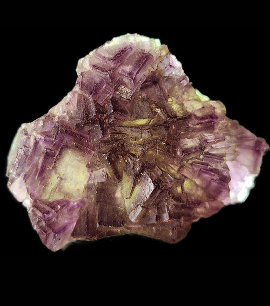 The Crystalary's Fluorite specimen from the Hermine Mine in Lissenthan, Nabburg, Schwandorf District, Upper Palatinate, Bavaria (sku 3082) features interlocking cubic crystals in vibrant purple and yellow hues. This miniature fluorite displays a range of shades, its translucent and structured appearance elegantly set against a black background.