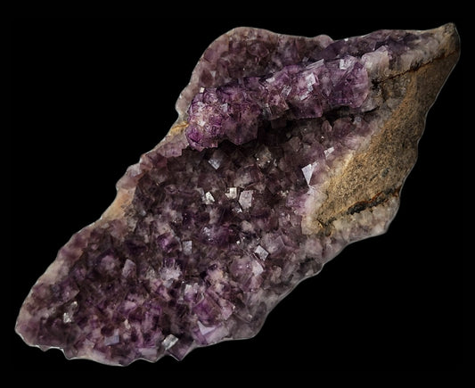 A jagged, irregularly shaped Fluorite rock from the T-Junction Pocket at Greenlaws Mine in Co. Durham, England, covered in a cluster of small, purple amethyst crystals. Interspersed among them are gemmy cubes of Purple Fluorite that glisten and reflect light, revealing a range of purple hues. The background is solid black, highlighting the rock and its sparkling formations. Available exclusively from The Crystalary.