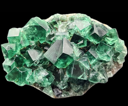 A vibrant green cubic fluorite crystal cluster from the Diana Maria mine, specifically the Greedy Hog Pocket in Co. Durham, England, showcases well-defined geometric shapes and a glassy, transparent quality. The crystals are arranged on a rough, light brown matrix and the entire specimen is presented against a solid black background. This exquisite piece is presented by The Crystalary.