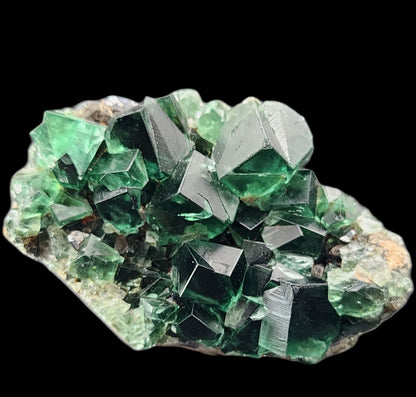 A cluster of vibrant green, glassy cubic crystals from the Greedy Hog Pocket at the Diana Maria mine in Co. Durham, England, tightly packed together on a rocky matrix. These fluorite crystals from The Crystalary exhibit a range of deep emerald to lighter green hues against a stark black background.
