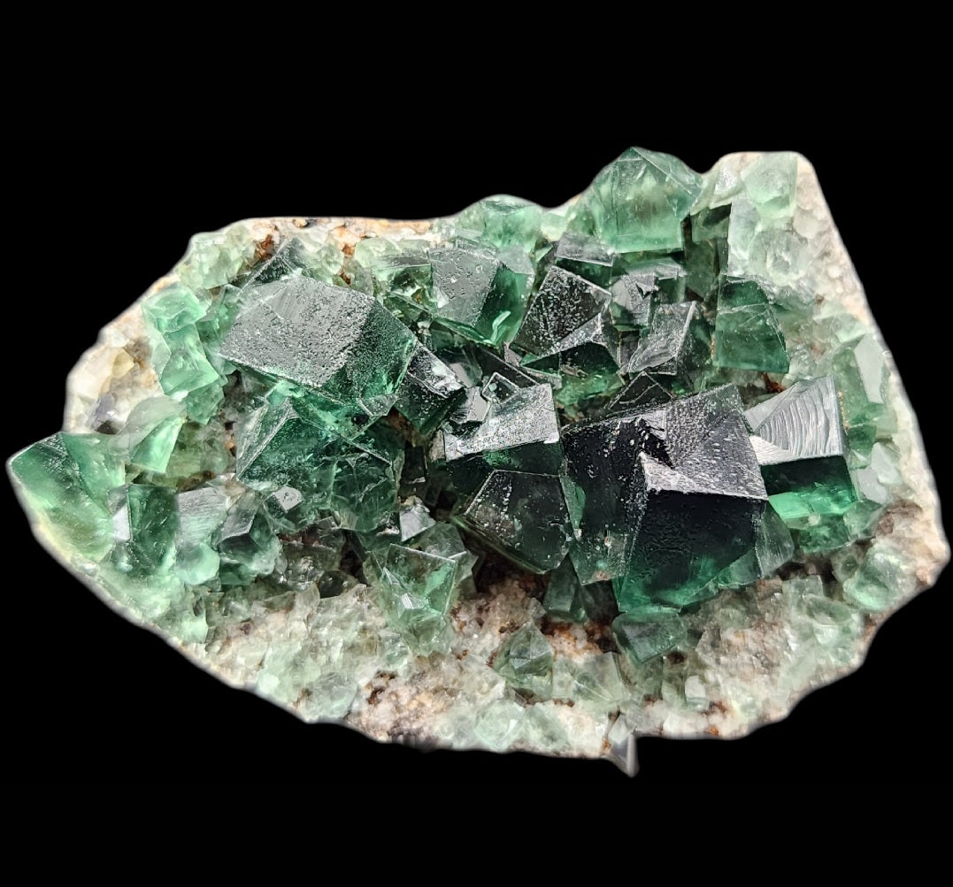 A cluster of green fluorite crystals from the Greedy Hog Pocket in the Diana Maria mine, Co. Durham, England is displayed on a rough rock matrix. The cubic crystals by The Crystalary are translucent with a glassy luster, varying in size, and set against a black background. The edges of the rock feature smaller, less defined crystals.