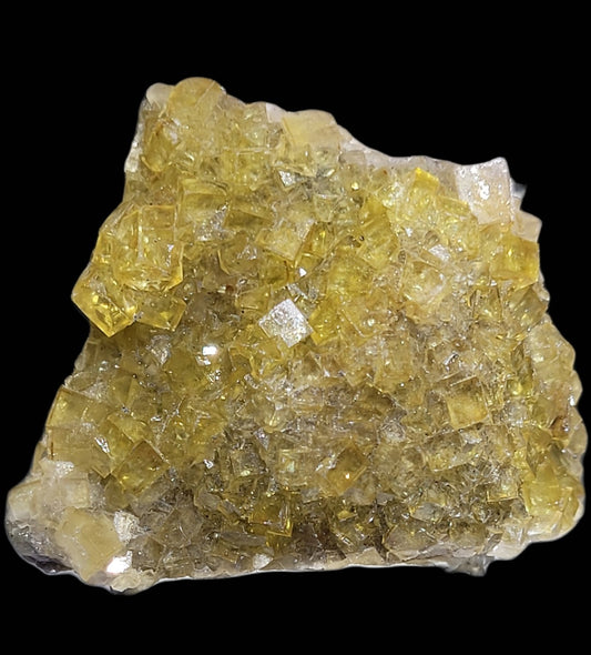 The Crystalary offers Fluorite from the Moscana Mine (SKU 809) featuring a jagged cluster of honey-yellow, miniature cubic crystals. These translucent and textured miniatures rest against a black backdrop, showcasing their shiny surface in varied sizes.