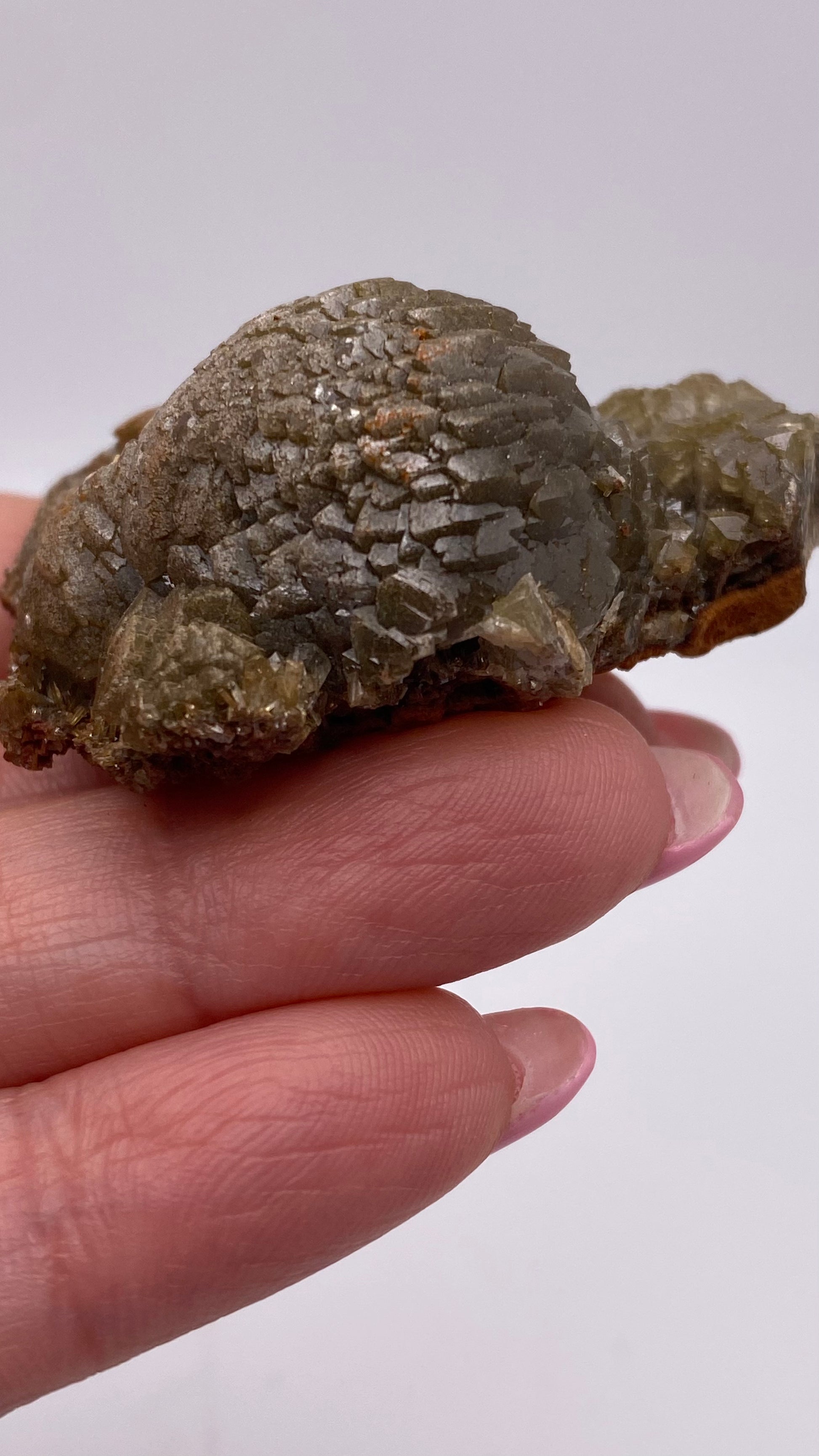 A close-up of a person's fingers holding a rough, greenish-brown Adamite specimen from The Crystalary, sourced from the Ojuela Mine in Mapimí, Durango, Mexico. The mineral has a textured, crystalline surface with shiny facets that catch the light. The person's fingernails are neatly manicured.

