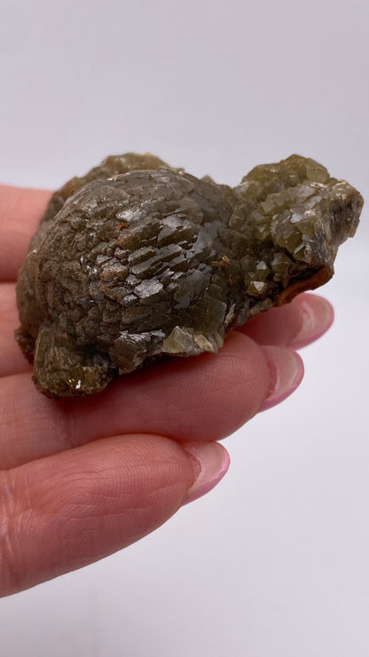 A hand with manicured nails holds a small, rough greenish-brown mineral, showcasing its textured crystalline surface against a plain, light background. The adamite from The Crystalary, sourced from the Ojuela Mine in Mapimí, Durango, Mexico, displays an irregular shape with various facets and layers.