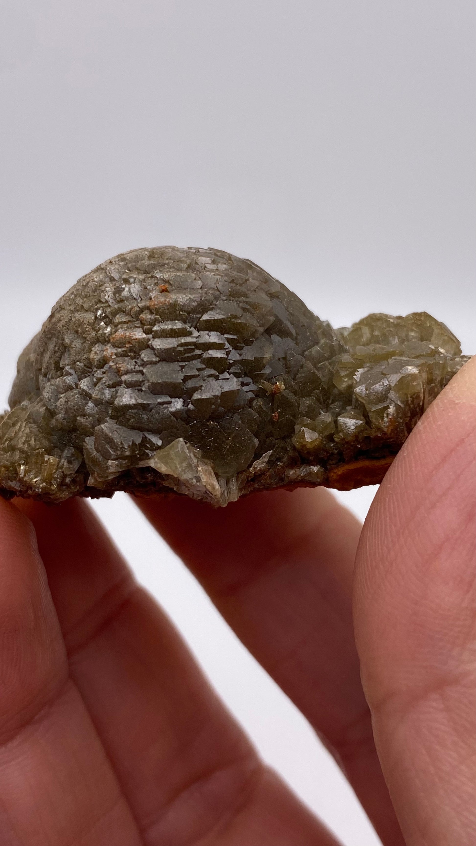 A close-up image of a hand holding an Adamite specimen from the Ojuela Mine in Mapimí, Durango, Mexico, by The Crystalary. The mineral has a dark color with a textured, dome-like shape featuring rough, crystalline surfaces and appears to have a natural, uneven formation. The background is plain and out of focus.