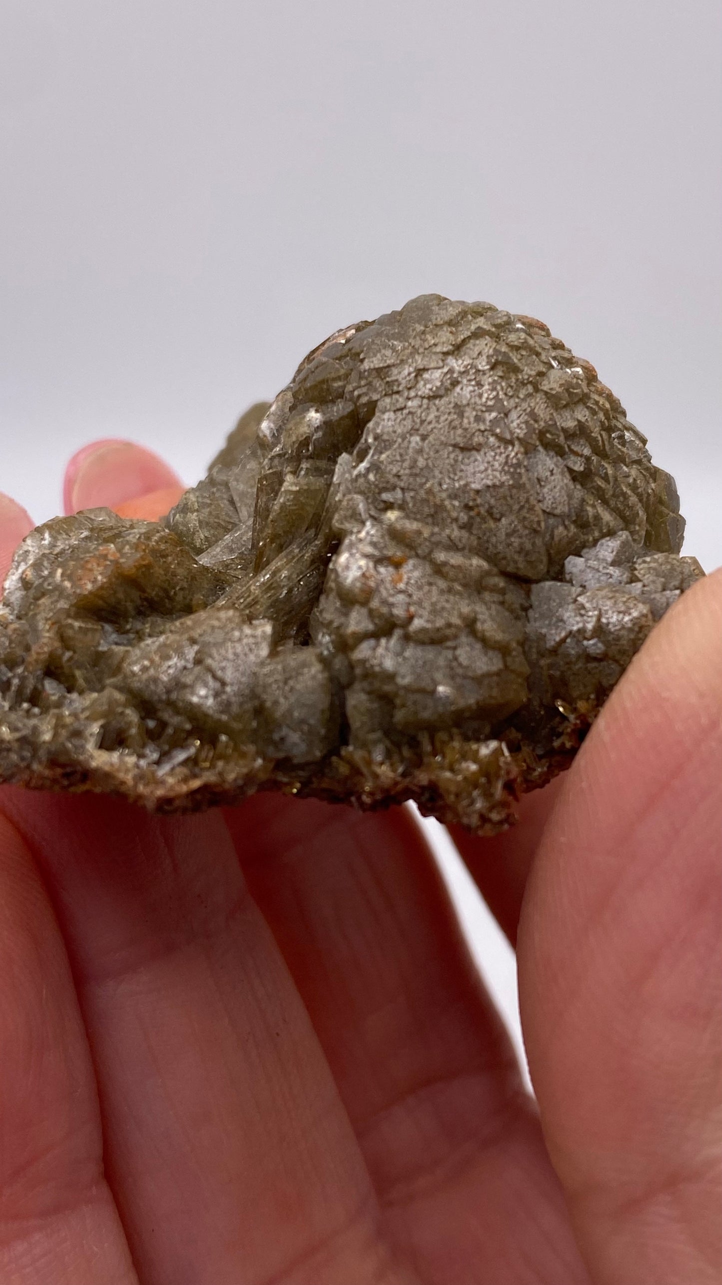 A close-up image features a hand holding The Crystalary's Adamite from the Ojuela Mine in Mapimí, Durango, Mexico. The mineral displays a grayish-brown coloration with an uneven surface, adorned with small, reflective crystals throughout. The blurred background ensures the focus remains solely on this textured and intriguing specimen.