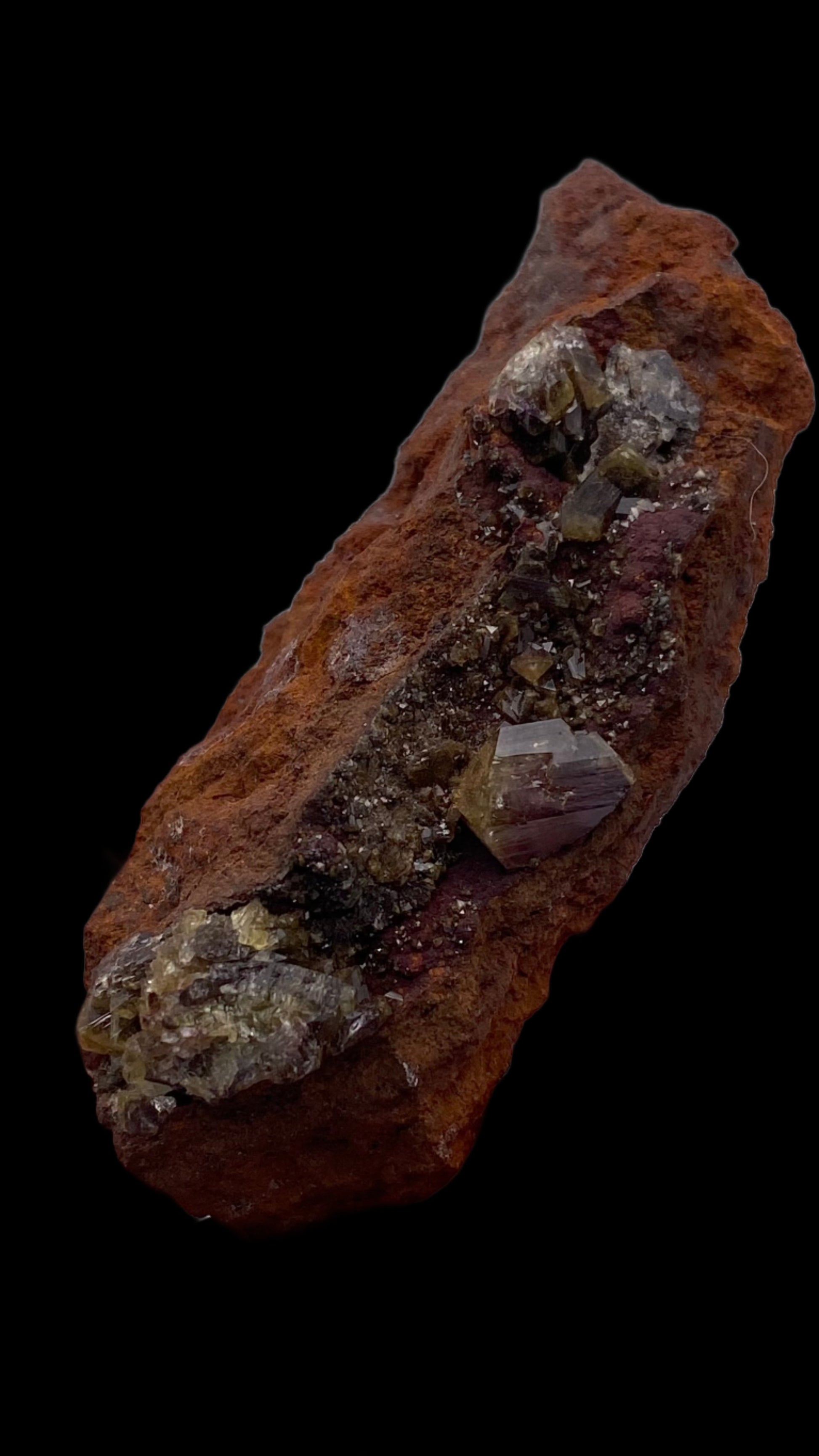 Introducing the Adamite (purple/Manganoan) from The Crystalary, sourced from the Ojuela Mine in Mapimí, Durango, Mexico. This elongated mineral specimen boasts a textured appearance with crystallized formations. The dark reddish-brown hue mixes iridescent and opaque areas against a solid black backdrop.