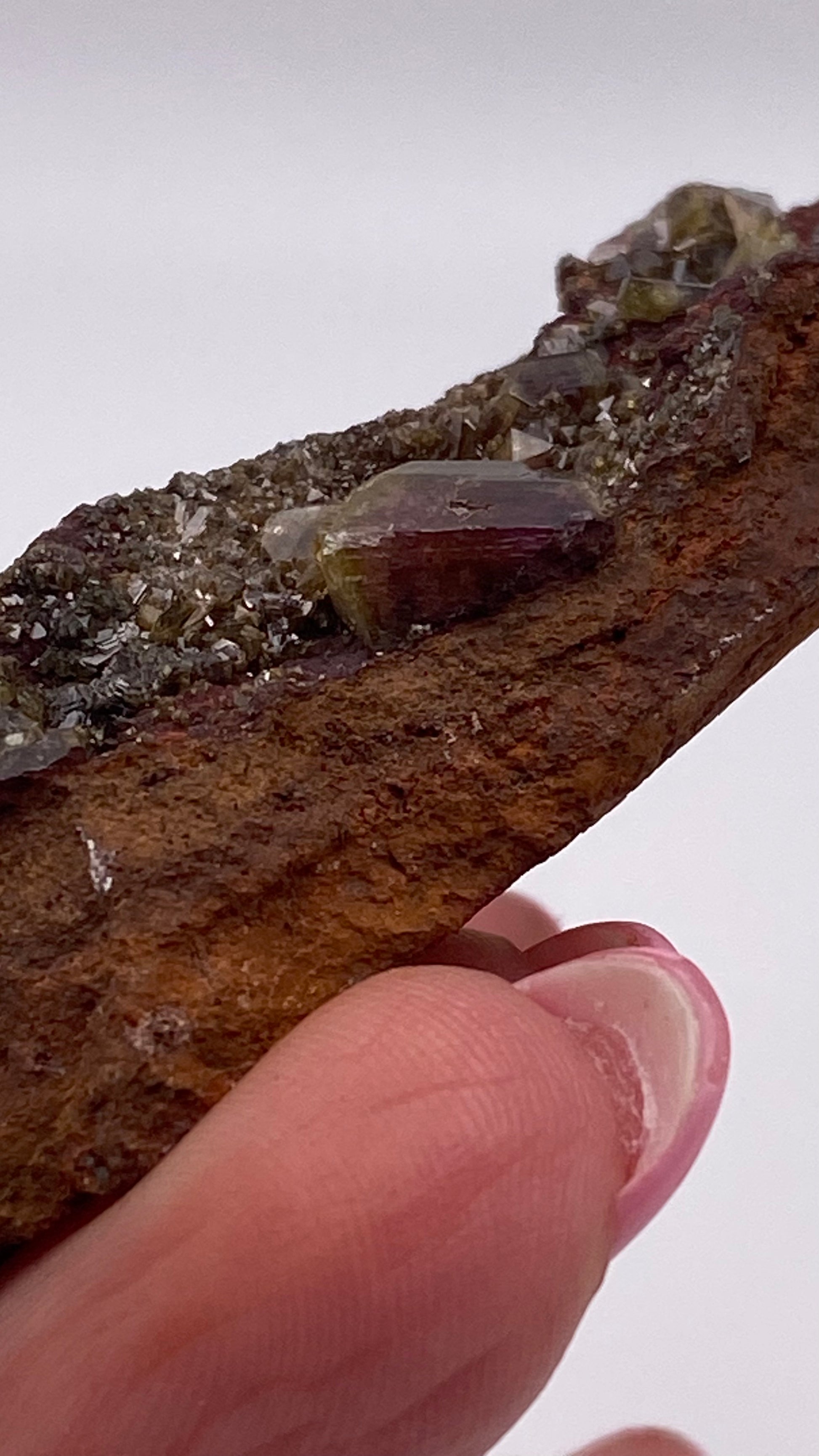 Close-up image of a person's hand holding an Adamite (purple/Manganoan) specimen from the Ojuela Mine, Mapimí, Durango, Mexico, by The Crystalary. The rock's surface showcases small, shiny crystals and larger translucent segments. The person's neatly manicured fingernails are visible in the foreground.