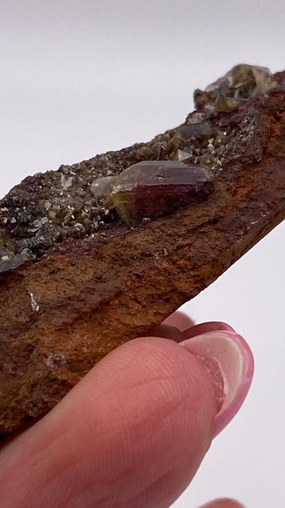 Close-up image of a person's hand holding an Adamite (purple/Manganoan) specimen from the Ojuela Mine, Mapimí, Durango, Mexico, by The Crystalary. The rock's surface showcases small, shiny crystals and larger translucent segments. The person's neatly manicured fingernails are visible in the foreground.