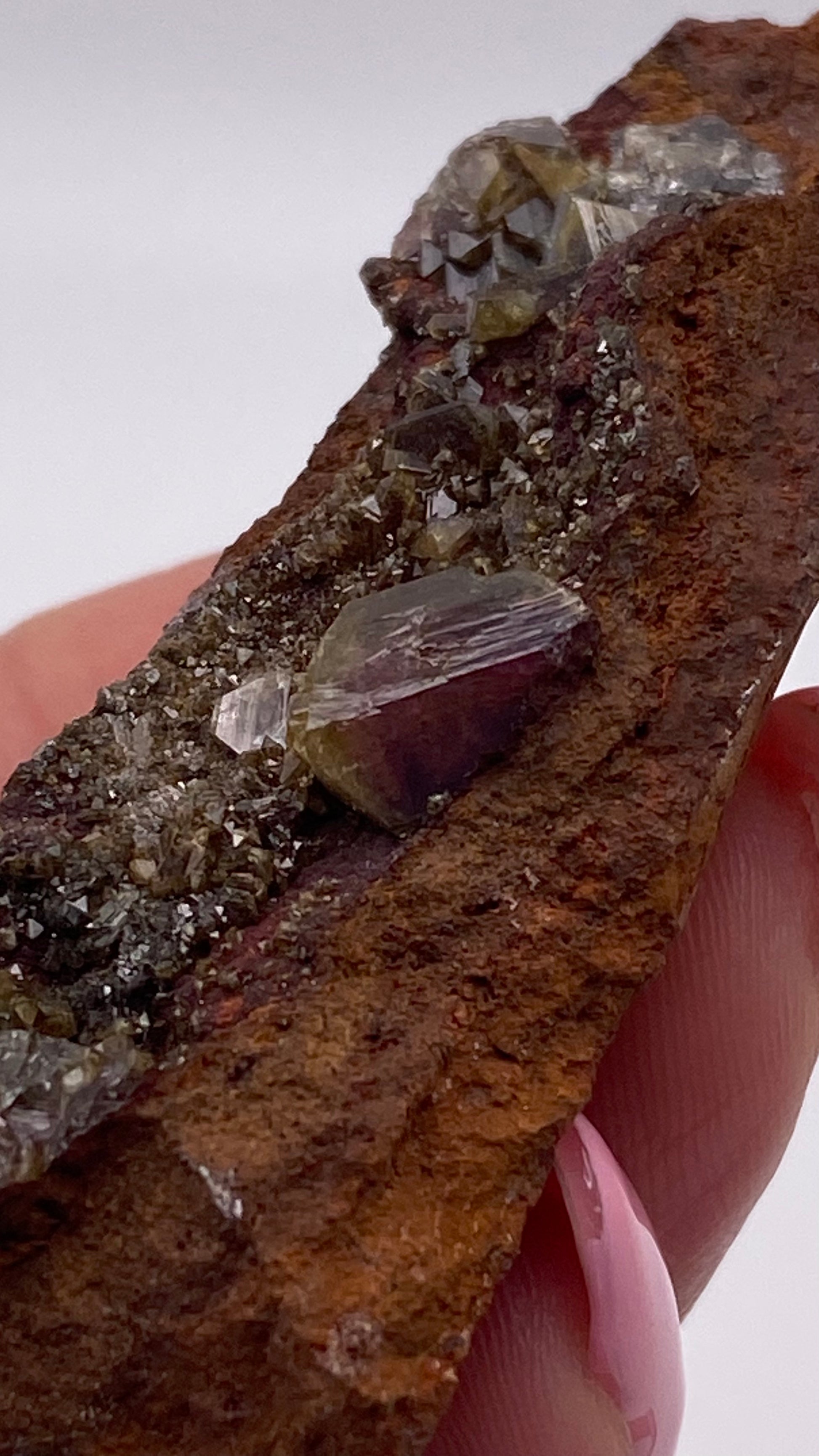 A close-up photo showcases a hand holding a piece of Adamite (purple/Manganoan) from The Crystalary, sourced from the Ojuela Mine in Mapimí, Durango, Mexico. The rock is adorned with several rough, semi-transparent Manganoan Adamite crystals of varying sizes on its reddish-brown, textured surface. The person's fingernails are painted in light pink and are visible in the shot.