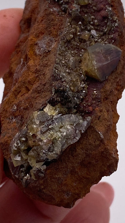 A hand is holding a rugged, reddish-brown rock with shiny, crystalline formations embedded on its surface. The crystals, which are likely Adamite (purple/Manganoan) from the Ojuela Mine in Mapimí, Durango, Mexico and supplied by The Crystalary, vary in size and display an array of metallic and transparent qualities, creating a striking contrast against the rough texture of the rock.