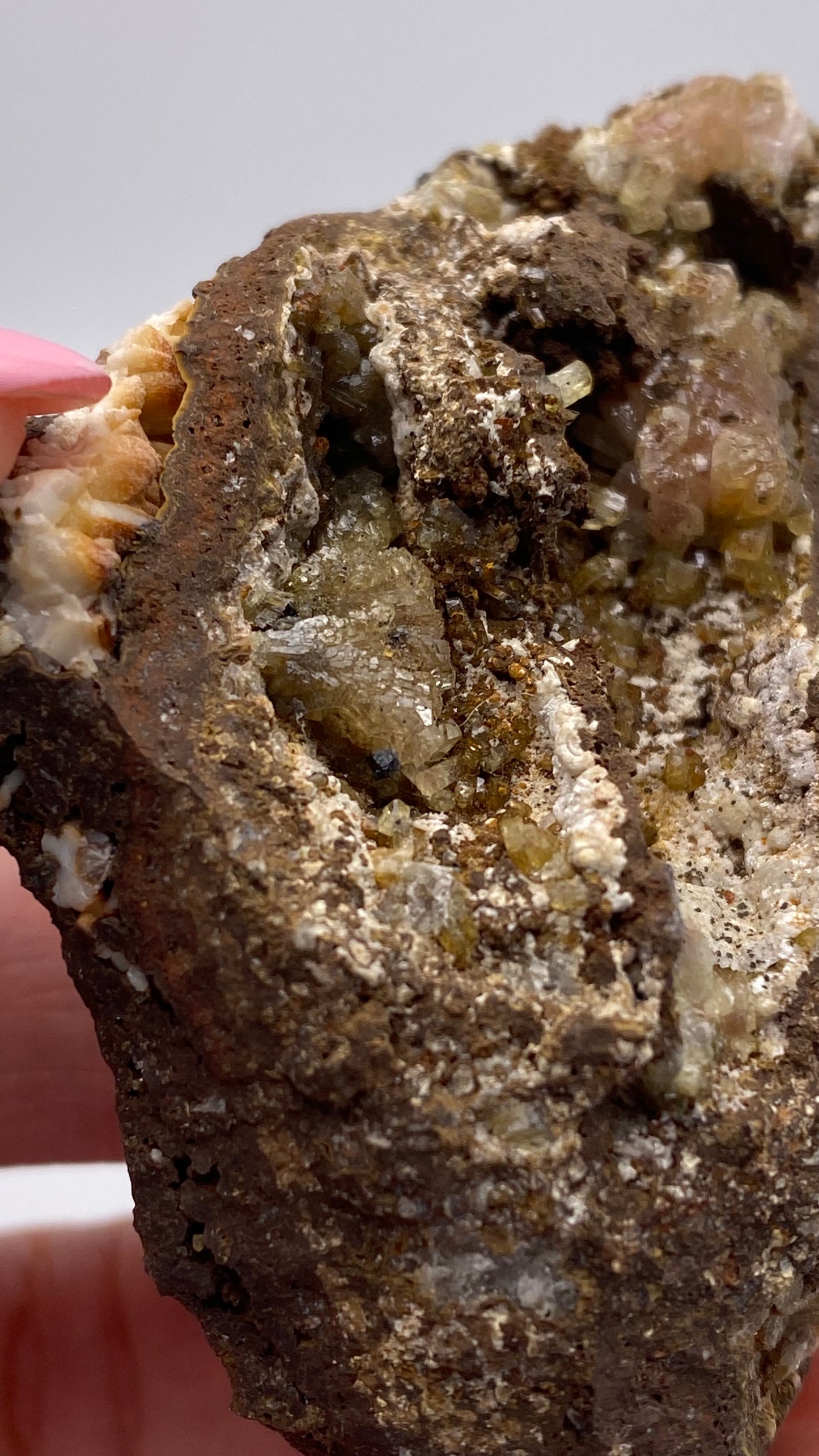 A close-up view of a person holding a rough, earthy rock from The Crystalary. The rock, an Adamite (purple/Manganoan) sourced from the Ojuela Mine in Mapimí, Durango, Mexico, exhibits various crystal formations within a crevice and displays colors such as brown, white, and yellow. Among these formations is an intriguing cluster of Purple Adamite. The person's fingernails are painted pink.