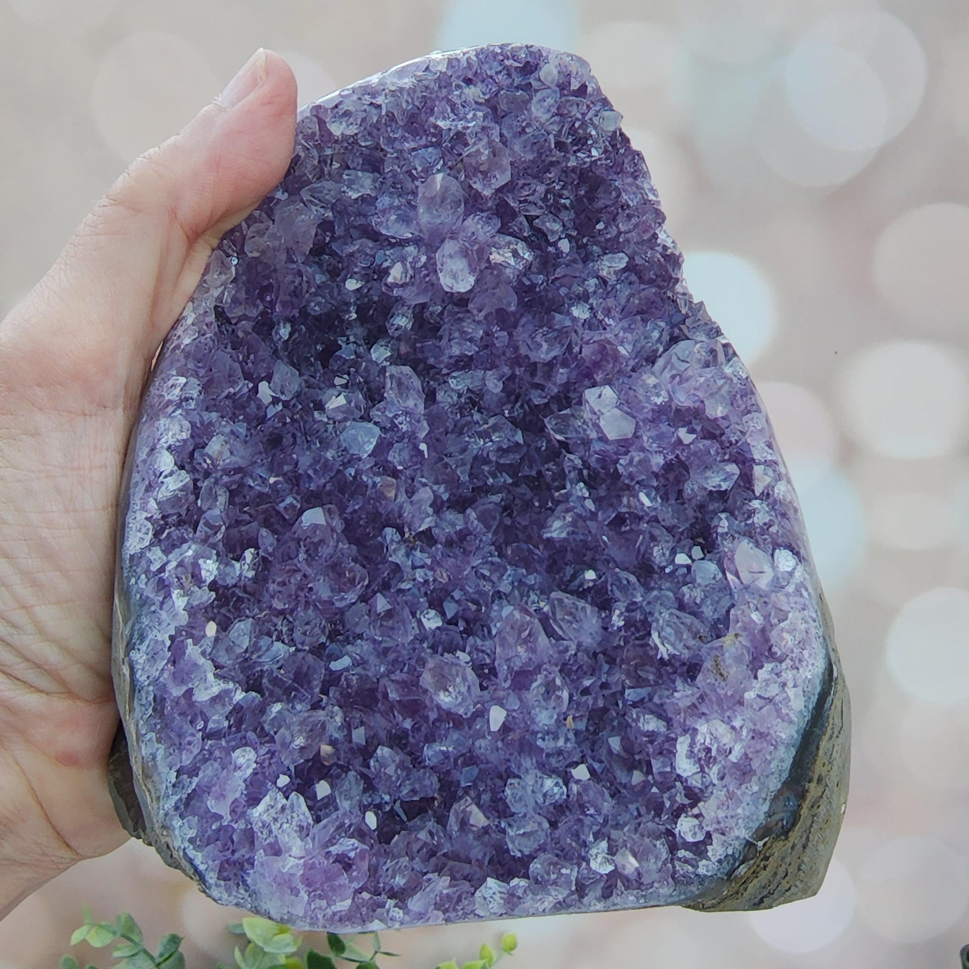 Amethyst Crystal Clusters Cut Base Minas Gerais, Brazil Grade A - - The Crystalary