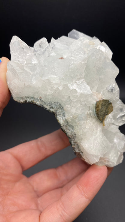 A hand holds a cluster of clear, hexagonal Apophyllite crystals from the Lonavala Quarry in Pune District, Maharashtra, India. The translucent and closely-packed crystals exhibit a glimmering texture against a black background, resting on an ancient basalt matrix. This exquisite piece is offered by The Crystalary.