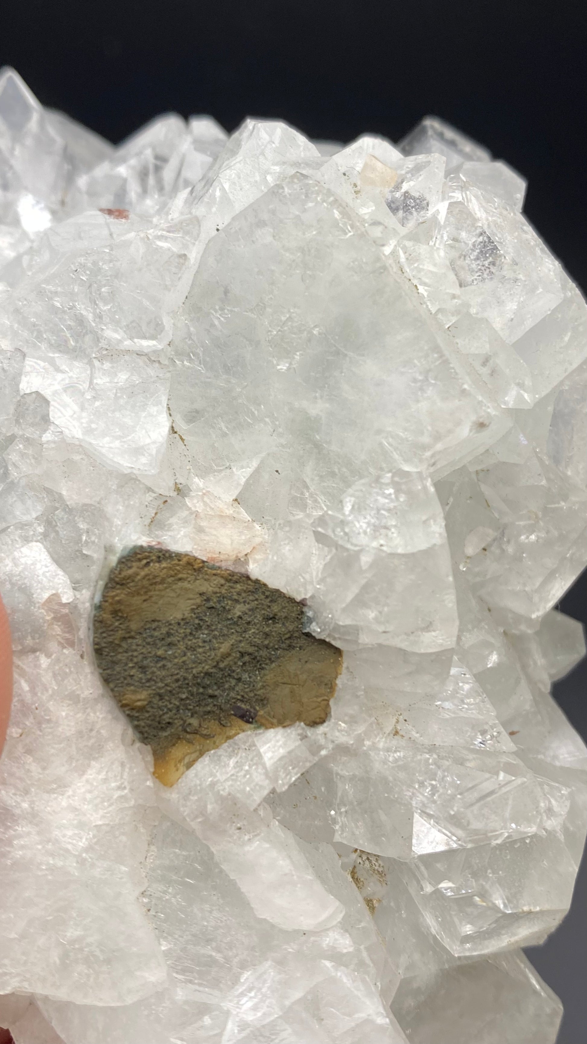 Close-up of a large, translucent white Apophyllite crystal formation from the Lonavala Quarry in Pune District, showcasing a small, irregularly shaped brownish-green mineral embedded within it. The crystal from The Crystalary has a jagged, textured surface with clear areas that highlight the intricate structure of the mineral and its origin from Maharashtra's basalt matrix.