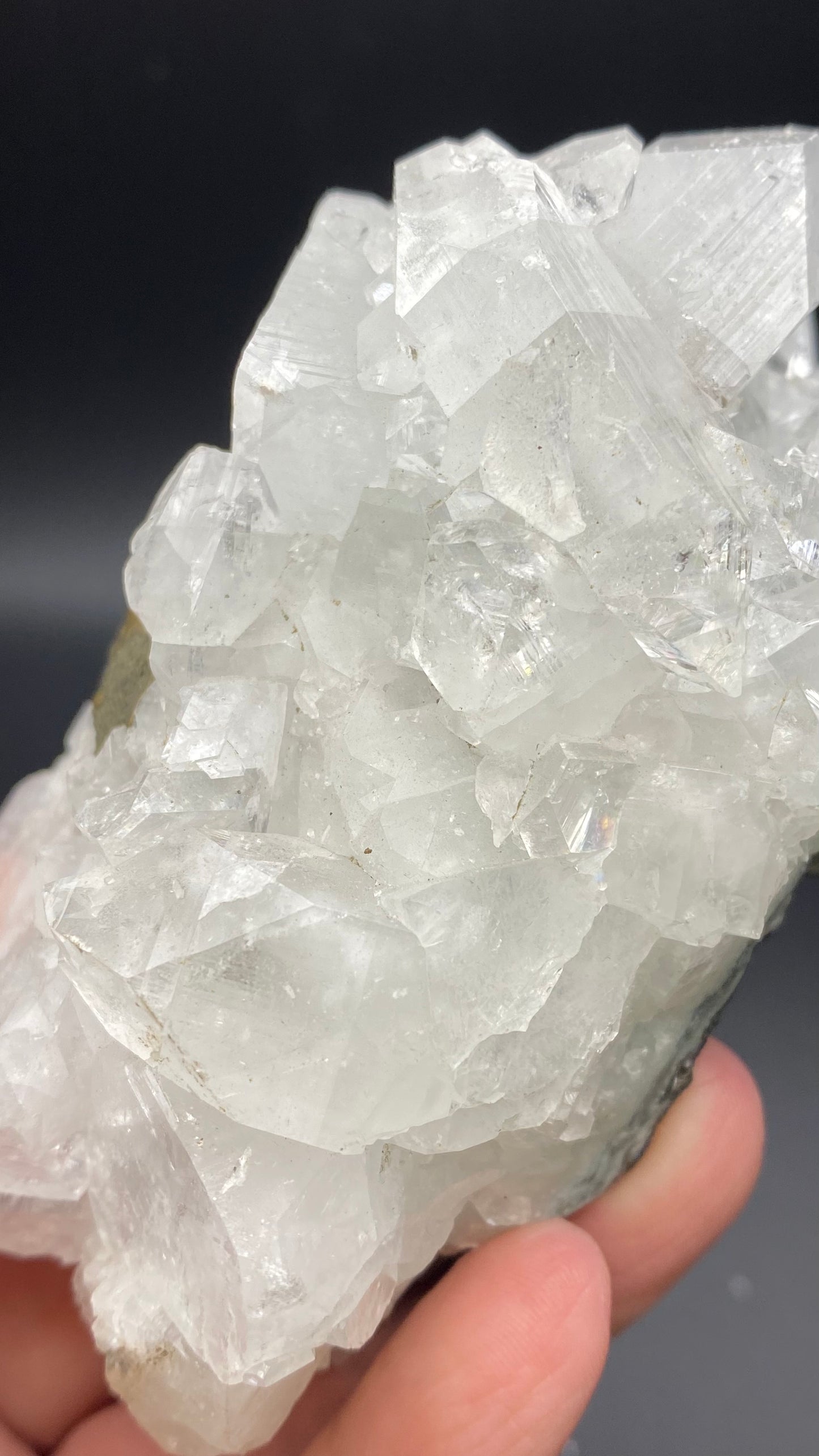 A person holds a large, transparent Apophyllite crystal cluster from The Crystalary against a dark background. The crystals, sourced from the Lonavala Quarry in Pune District, Maharashtra, have sharp, well-defined edges and a clear, slightly milky appearance with a few smaller, delicate formations attached to the basalt matrix.