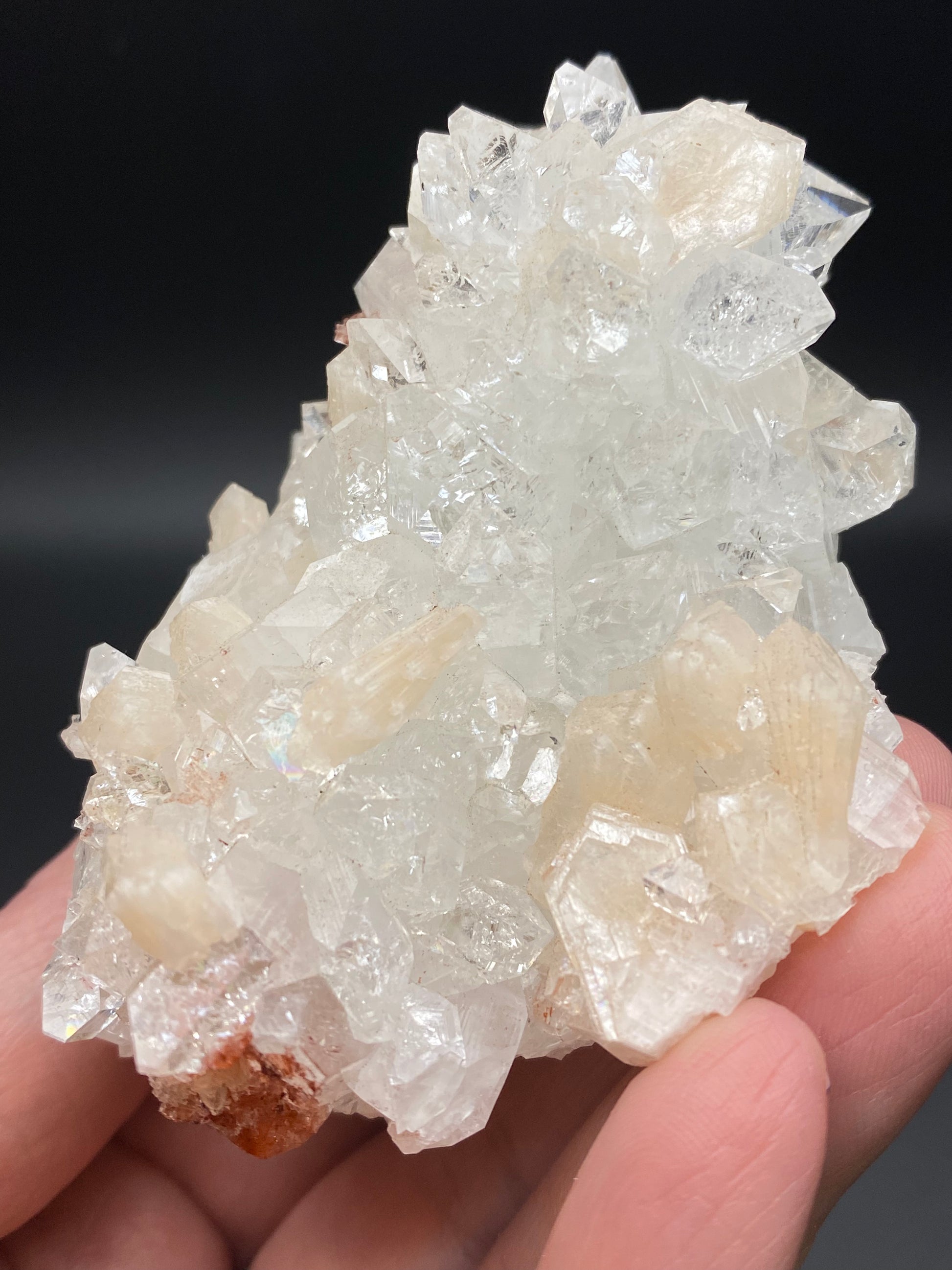 A hand holding a cluster of translucent, sparkling Apophyllite and Stilbite crystals that are primarily white with slight hints of pale yellow and green. The crystals, sourced from the Lonavala Quarry in Pune District, Maharashtra, India and offered by The Crystalary, feature sharp, well-defined edges and are set against a dark background.