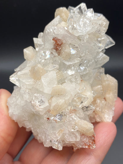 A person holds a dazzling cluster of Apophyllite and Stilbite, showcasing clear and white crystalline formations with striking reddish-brown inclusions. These crystals from the Lonavala Quarry, Pune District, Maharashtra, India are various sizes with sharp, defined edges and feature stunning Diamond Apophyllite against a dark, blurred background. This exquisite piece is part of The Crystalary collection.