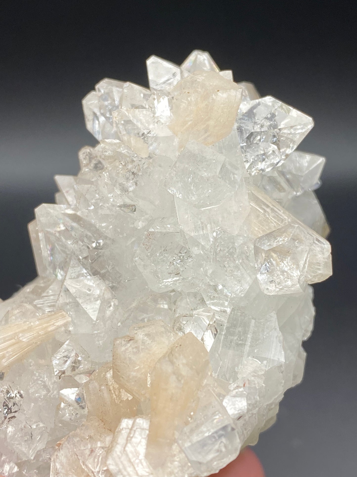 A close-up photograph of a cluster of clear and white crystals with well-defined, sharp edges and intricate formations. The Apophyllite, Stilbite from Lonavala Quarry, Pune District, Pune Division, Maharashtra, India by The Crystalary are illuminated against a dark, blurred background, highlighting their brilliance and transparency.