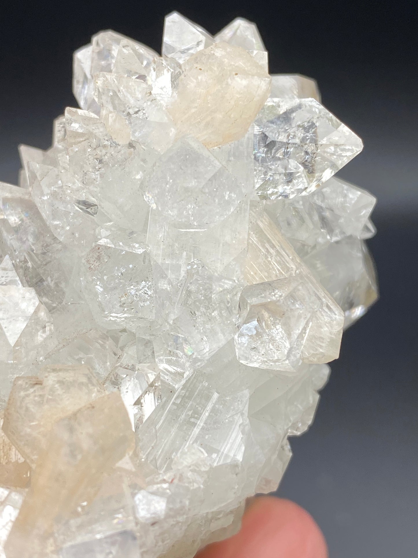 Close-up of a cluster of Apophyllite and Stilbite crystals from the Lonavala Quarry, held against a black background. The crystals are sharp-edged, transparent, and intricately interlocked, resembling stunning formations seen in the Pune District of Maharashtra. A finger is partially visible holding the cluster from The Crystalary brand, with some internal fissures adding character.