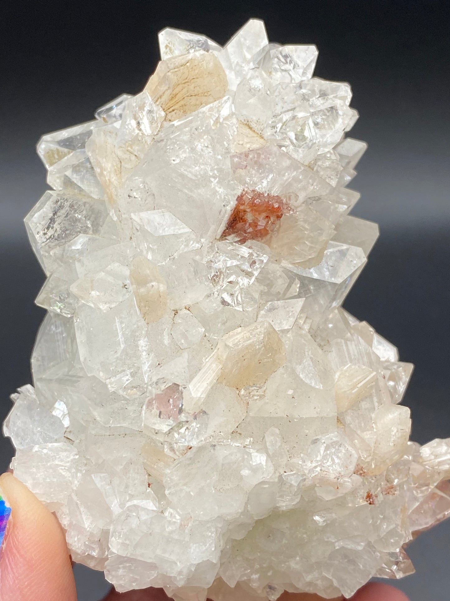 A hand holding a cluster of clear and translucent crystals with a few reddish-brown inclusions. The crystals are angular and have a shiny, reflective surface. The background is dark, highlighting the intricate details of the Apophyllite formation from Lonavala Quarry in Pune District by The Crystalary.