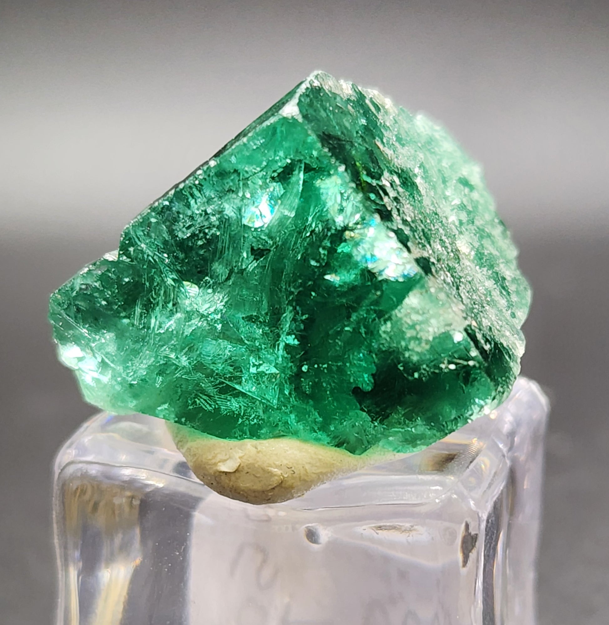 A vibrant, lustrous green crystal from the Rogerley Quarry in elegant, translucent facets is proudly displayed on a clear stand against a grey background. The rough, jagged surface beautifully reflects light. The stand maintains "AUCTION- 50 year Pocket," part of The Crystalary collection from Stanhope, County Durham, England, in an upright position for optimal viewing.