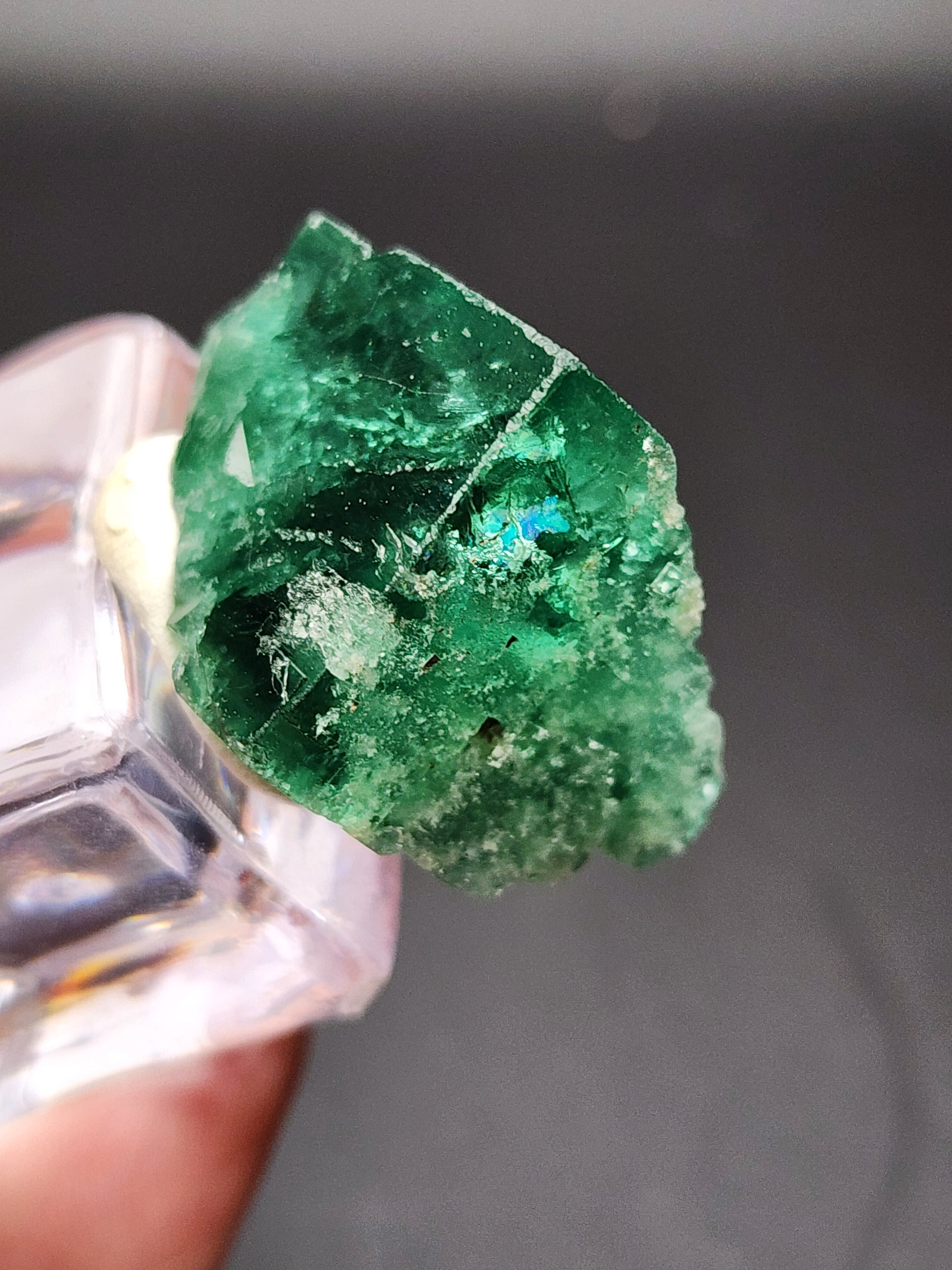 A close-up of a rough emerald crystal with a deep green hue, held by a clear acrylic stand. The crystal, likely from the "AUCTION- 50 year Pocket" collection in Rogerley Quarry, Stanhope, County Durham, England, offered by The Crystalary, features a jagged and uneven surface with natural inclusions and imperfections. The blurred and dark background accentuates the emerald's lustrous green color.