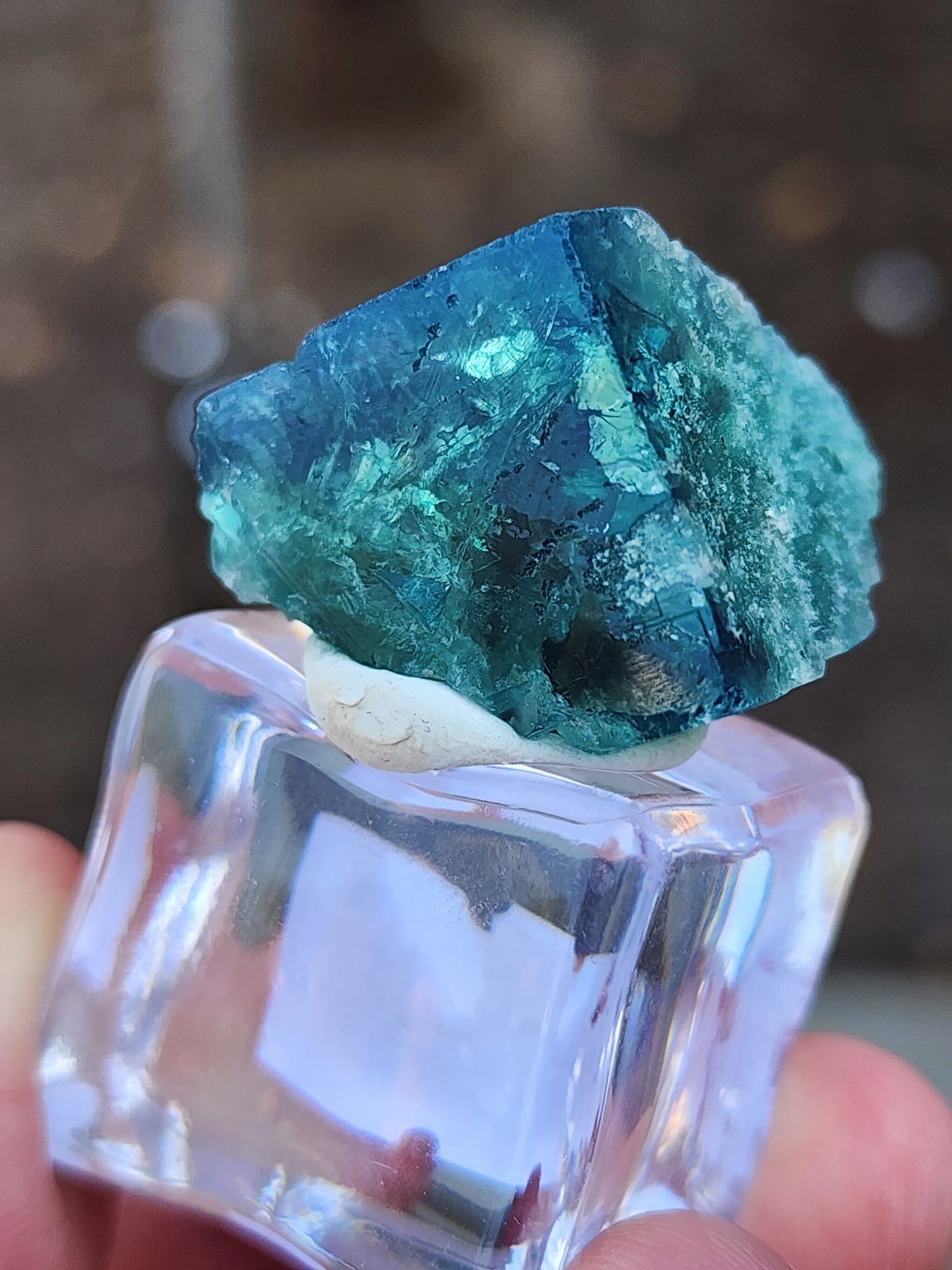 A close-up image of the AUCTION- 50 year Pocket from Rogerley Quarry, Stanhope, County Durham, England by The Crystalary captures a deep blue-green, semi-transparent mineral crystal resting on a clear, square base. The blurred background accentuates the texture and intricate details of the lustrous green crystal's surface.