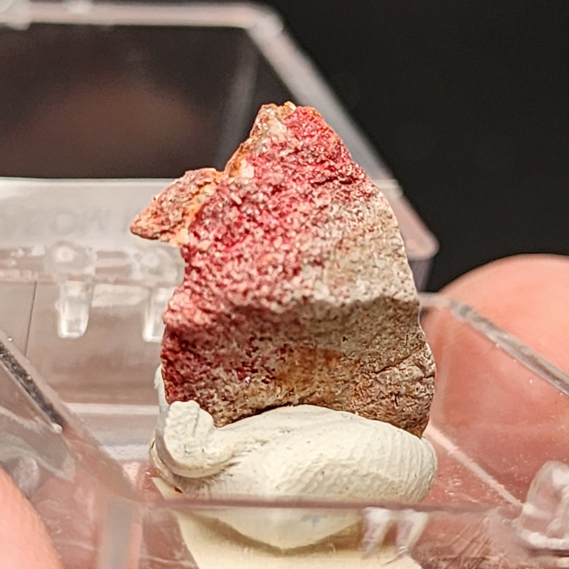 Close-up of a small rock displaying red and beige coloration being held between fingers, with a beige substance at its base for stability. The AUCTION-Cinnabar from Terlinqua District, Brewster County, Texas, USA by The Crystalary is set against a blurred background that appears to be a plastic container.