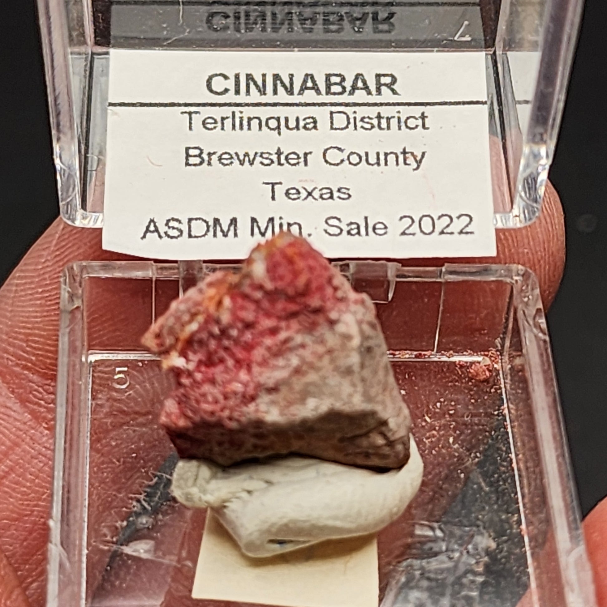 A close-up photograph showcases an AUCTION- Cinnabar from the Terlinqua District, Brewster County, Texas, USA by The Crystalary. This mineral is displayed in a transparent case and labeled as part of the ASDM Min. Sale 2022.