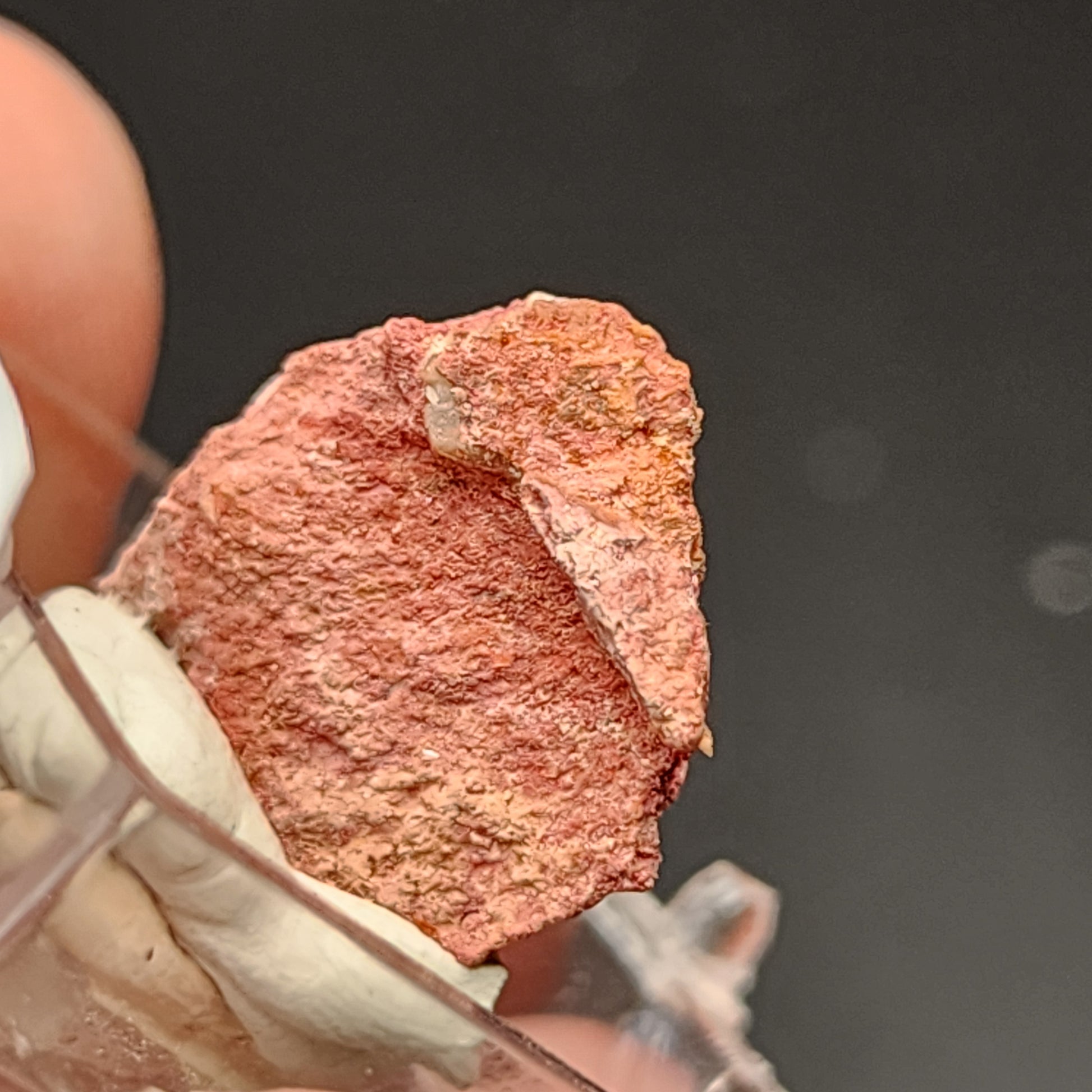 A close-up image of a small red-pink rock, possibly the AUCTION- Cinnabar from The Crystalary, showing its rough and textured surface. This miniature specimen from the Terlinqua District in Brewster County, Texas, USA is held between someone's fingers against a dark background. The rock features a pointed edge and some white substance at the base.