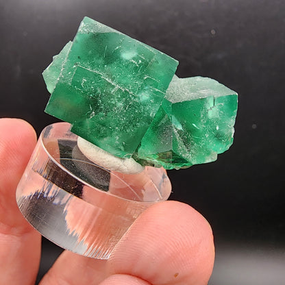 A hand holds a clear stand displaying The Crystalary's AUCTION Fluorite from the Diana Maria Mine in Frosterley, Weardale, Co. Durham, England against a black background. The vivid green cubic crystal cluster features sharp, defined edges and a slightly translucent appearance.