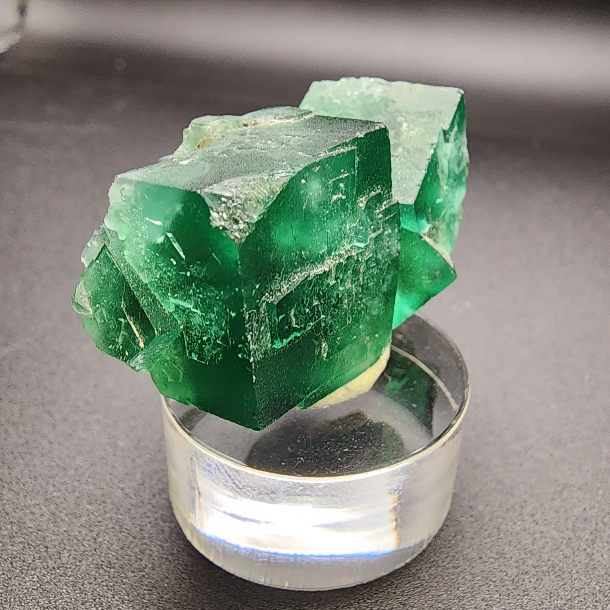 A close-up of The Crystalary's AUCTION Fluorite- Diana Maria Mine, Frosterley, Weardale, Co. Durham, England crystal reveals its vibrant green cube resting on a clear, round stand. The smooth, reflective surfaces catch the light beautifully, emphasizing its translucent texture and rich green hue against a dark background.