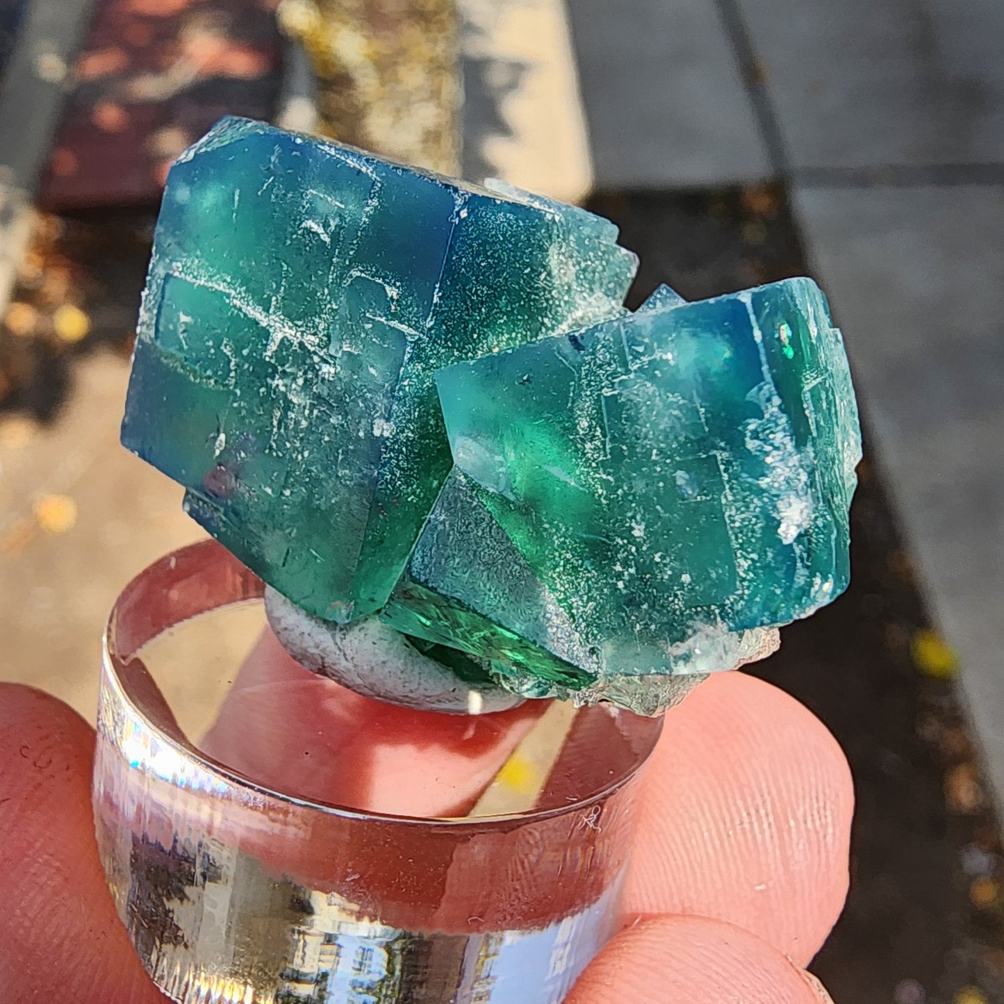 Close-up of a person's hand holding a transparent stand with the AUCTION Fluorite from the Diana Maria Mine, Frosterley, Weardale, Co. Durham, England. The vibrant green-blue cubes from The Crystalary are cubic and boast natural, rough surfaces. The background is slightly blurred, capturing an outdoor setting with sunlight.