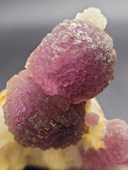 Close-up image of a vibrant purple fluorite with a crystallized surface, showcasing intricate geometric patterns. The "AUCTION- Fluorite- Navidad Mine, Indé Municipality, Durango, Mexico" from The Crystalary features stunning purple crystals attached to a lighter-colored base. Set against a blurred dark background, this highlights the texture and color variation brilliantly.