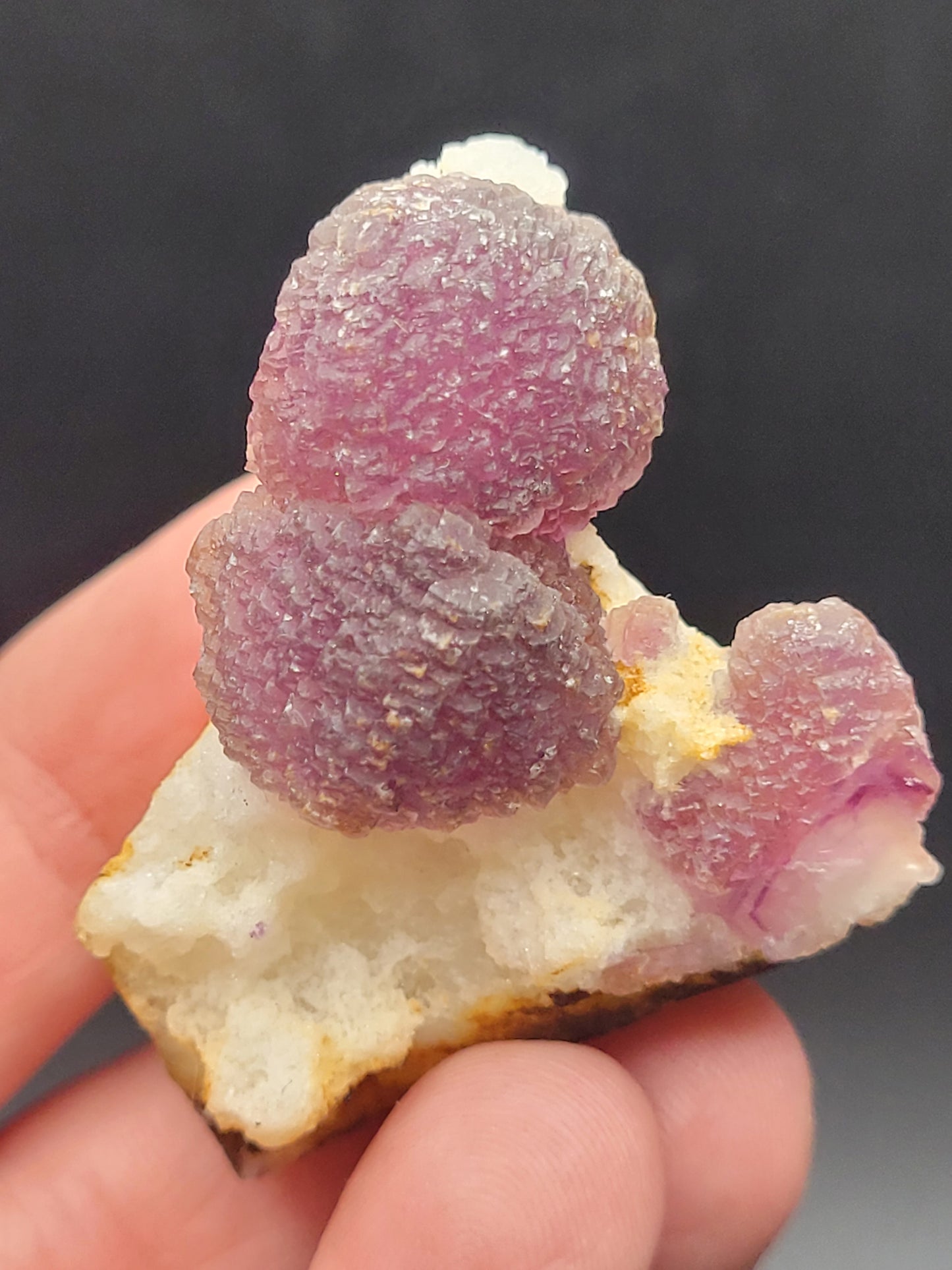 A hand holds a cluster of vibrant, translucent purple Fluorite crystals on a white rock matrix from the Navidad Mine in Indé Municipality, Durango, Mexico. The rounded formations gleam against a black background in this stunning piece from The Crystalary's AUCTION collection.