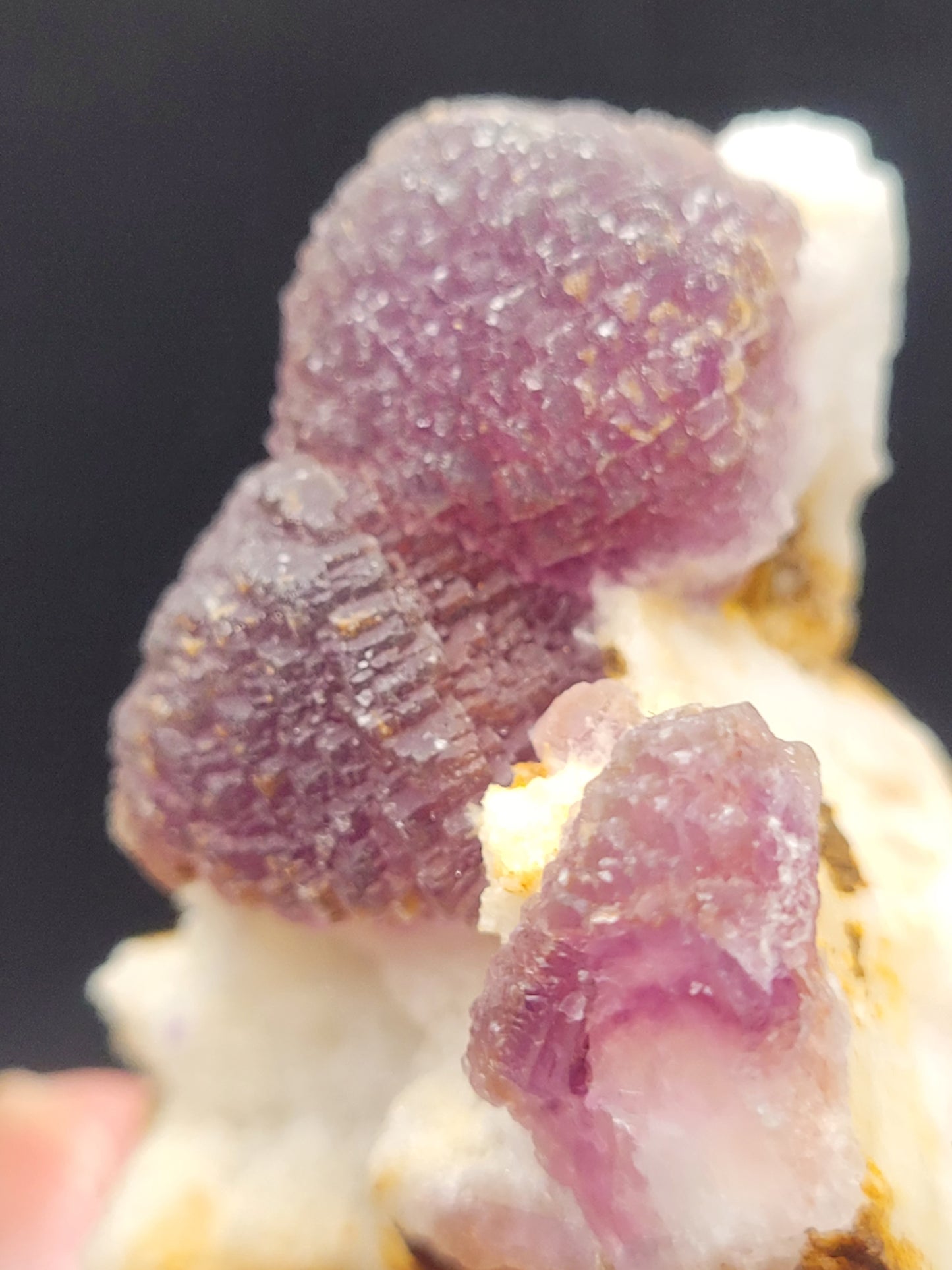 Here's a close-up image of the product "AUCTION- Fluorite" from The Crystalary, highlighting clusters of purple fluorite crystals sourced from the Navidad Mine in Indé Municipality, Durango, Mexico. The specimen features these fluorite crystals on a white quartz matrix and showcases a cubic structure with a translucent to transparent appearance and slightly rough texture.