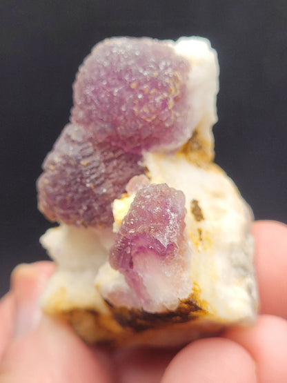 A hand holds a mineral specimen with clusters of rough, translucent purple fluorite crystals on a white and brown matrix. The black background contrasts with the vibrant colors of the mineral, highlighting its textures and shapes. This striking piece, known as "AUCTION- Fluorite- Navidad Mine," is presented by The Crystalary and hails from the famed Navidad Mine in Indé Municipality, Durango, Mexico.